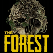 森林(所有区服)