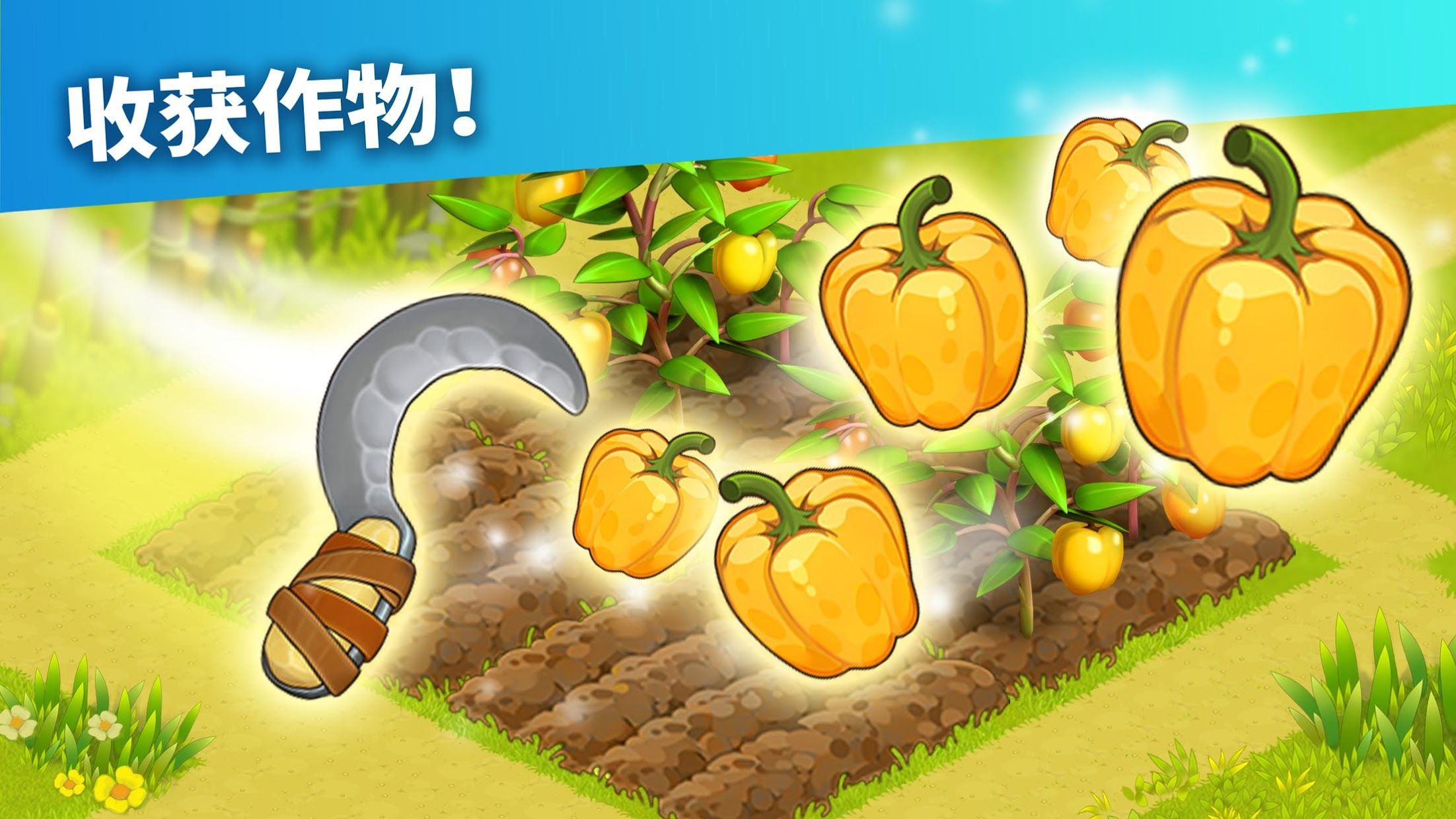 家庭岛在规最新版获取提取_截图_4