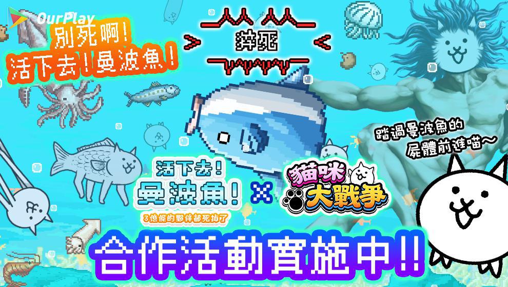 猫咪大战争游戏测评,猫咪大战争游戏评价