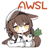 [AWSL]
