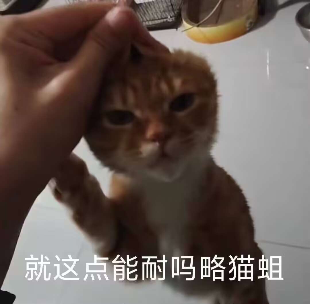 扣（上）：致爱丽丝（ba同人）_图3