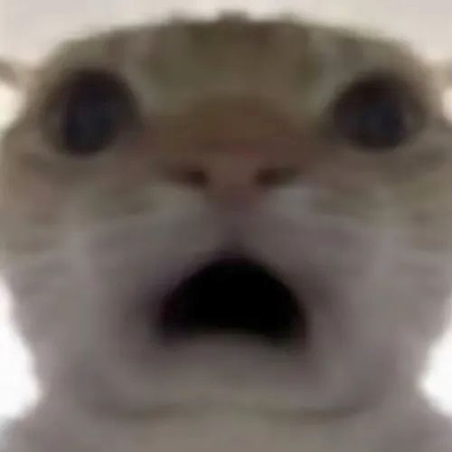 忽然发现了小金藏的小巧思_图2