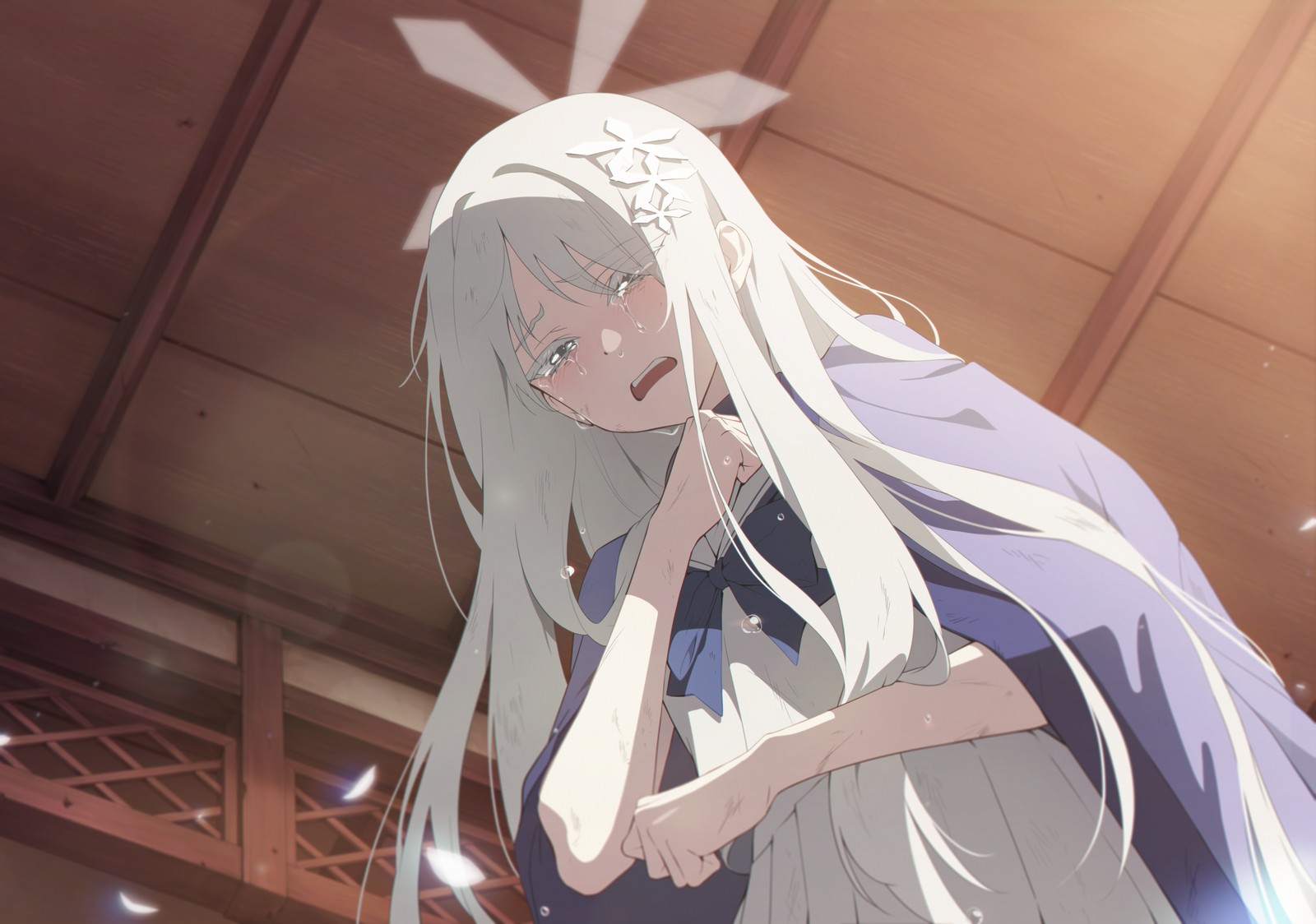 一位名草厨的心声_图3