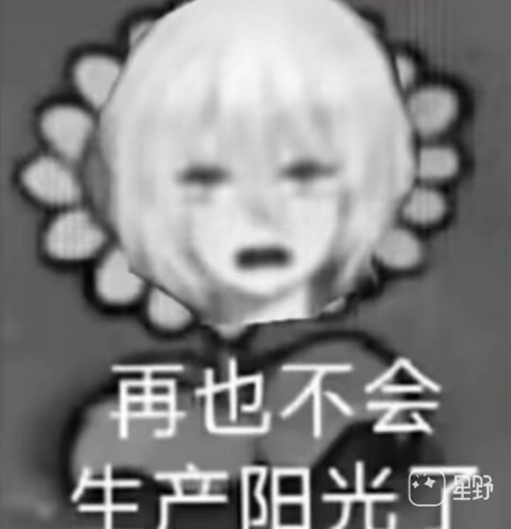 我的 唐吉诃德 正哪里。。。_图1