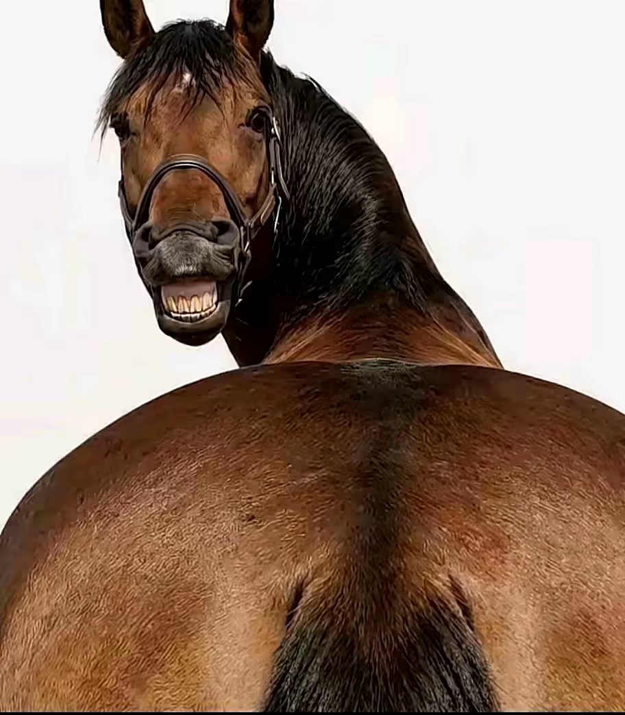 爆率真的很高_图3