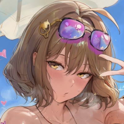 飞机收藏家