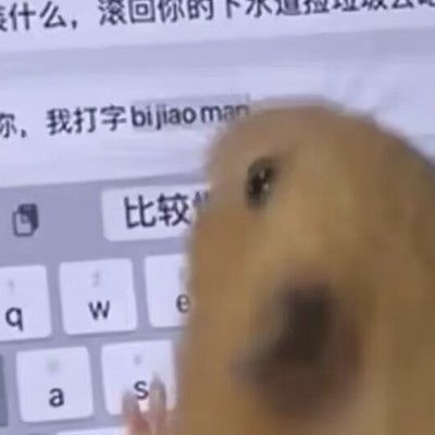 不吃饭的小白兔uli3