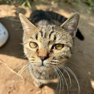 奶兔星球沉迷学习vgn8