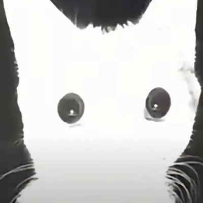 章宜家