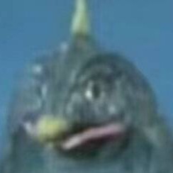 贝鸟