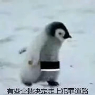 炸鸡能够乐不想做题ix10