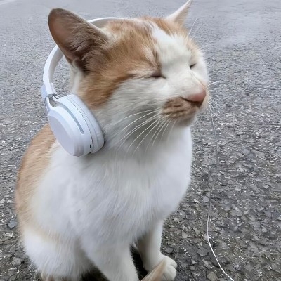 总裁见面5秒启动战斗slj68