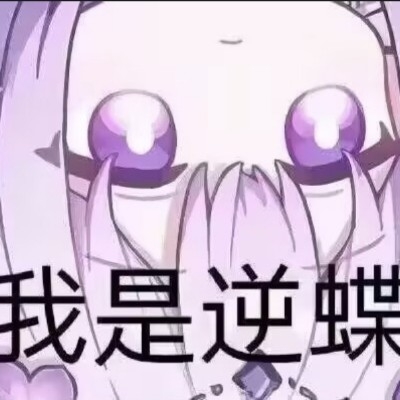 时间准备着的千禧小王n3