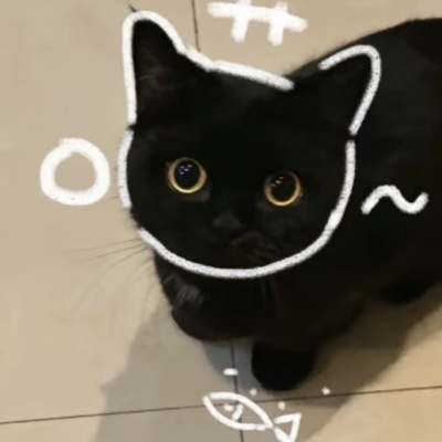 一只懒懒呀