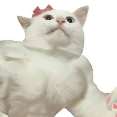 设计师没带钱