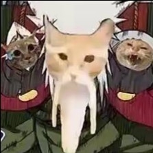 妙木山的哈基仙